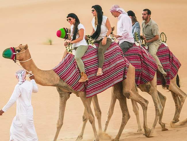 Evening Desert Safari Camel ride