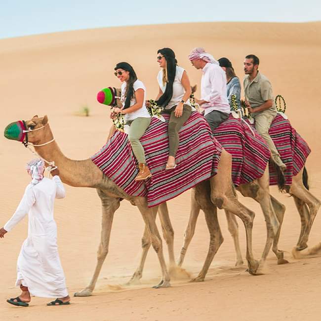 Evening Desert Safari Camel ride
